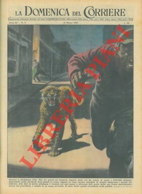 Leopardo fuggito dallo zoo veniva ricondotto nella gabbia dopo tre …