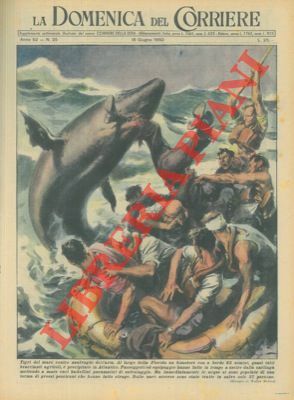 Gran parte dei passeggeri e dell' equipaggio di un bimotore …