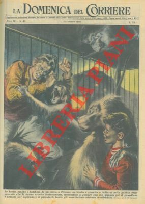 Scimmie mordono il guardiano che vuole riprendere un bambino entrato …