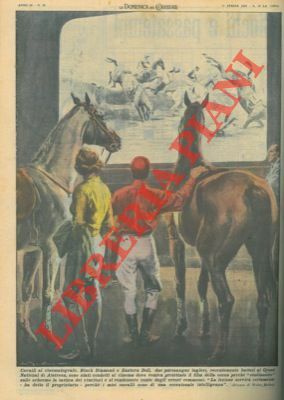 Purosangue condotti al cinema, dove viene proiettato film della corsa, …
