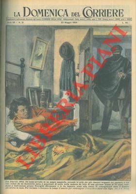 A Treviglio un uomo penetra di notte nella camera da …