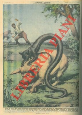 A Fiumefreddo, un mostro dalla testa di gatto e dal …