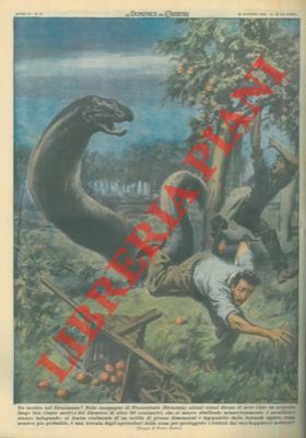 Avvistato a Francofonte (Siracusa) un serpente lungo ben cinque metri …