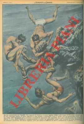 Polpo a Portofino trascina verso il fondo bagnante e quasi …