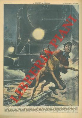 Ragazzo che salva cane impigliato con una zampa tra gli …