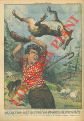 Giovane pastore uccide senza paura una volpe afferrandola per la …