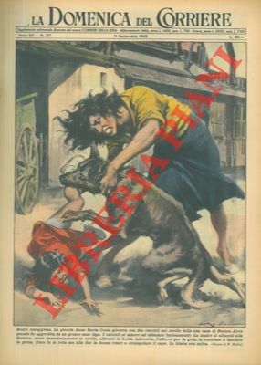 Donna strangola cane lupo che aveva aggredito la propria figlia.