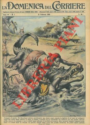 Madre salva bambina dalle fauci di un coccodrillo.