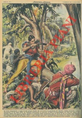 Banda capeggiata da un'ex - danzatrice viene accerchiata dalla polizia …