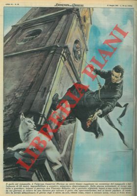 A Valperga Canavese (Torino) gatto sul campanile salvato da parroco …