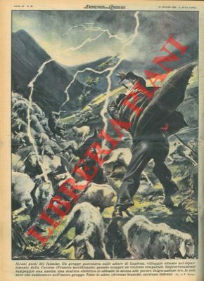 Scarica elettrica si abbatte in mezzo a un gregge di …