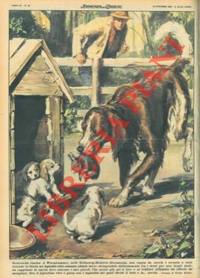 Cagna da caccia torna a casa tenendo in bocca un …