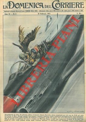 Una poiana sbatte contro l'abitacolo di un F86, scoperchiandolo . …