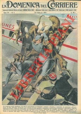 Aereo costretto ad atterrare perchè le scimmie che trasportava rompevano …