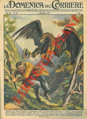 Un cacciatore catturava un'aquila reale nella boscaglia di Pradalunga (BG) …