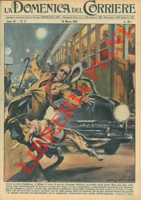 Cane addestrato alla scuola speciale di Firenze salva la vita …