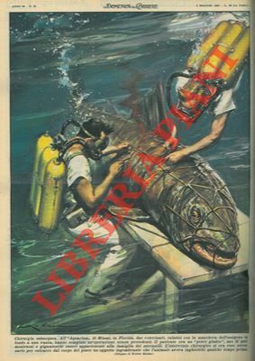 Chirurgia subacquea. Due veterinari, calatisi con la maschera dell'ossigeno in …