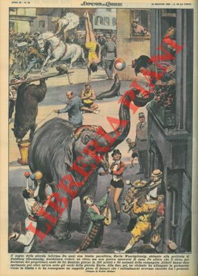 Circo va da una bimba paralitica che da anni desiderava …