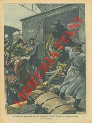 Orso clandestino trovato su un vagone merci di un treno.