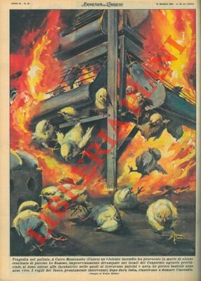 Incendio scoppiato nei locali del Consorzio agrario provinciale di Cairo …