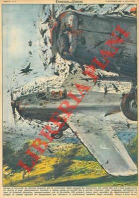 Due piloti sono stati denunciati perchè con i loro apparecchi …