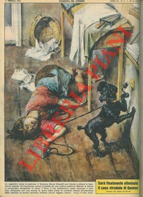 Barboncino salva la vita alla padrona, che era stata investita …