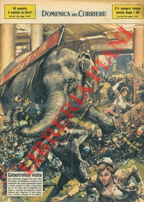 Elefantessa fuggita dal Luna Park di Lausing si dava a …