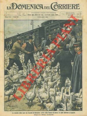 Milioni di oche arrivano in treno per la carestia in …