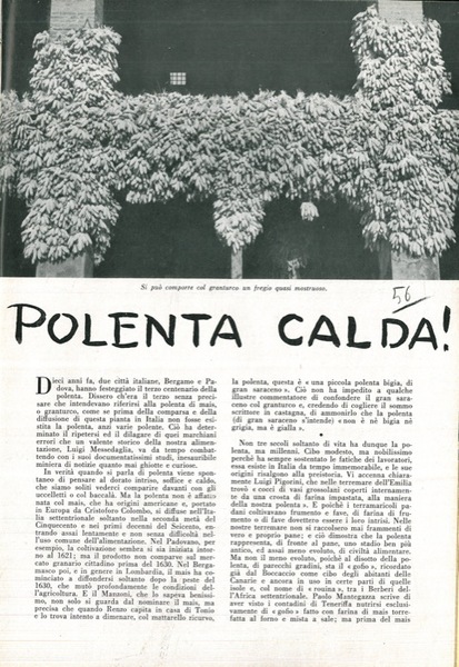 Polenta calda.