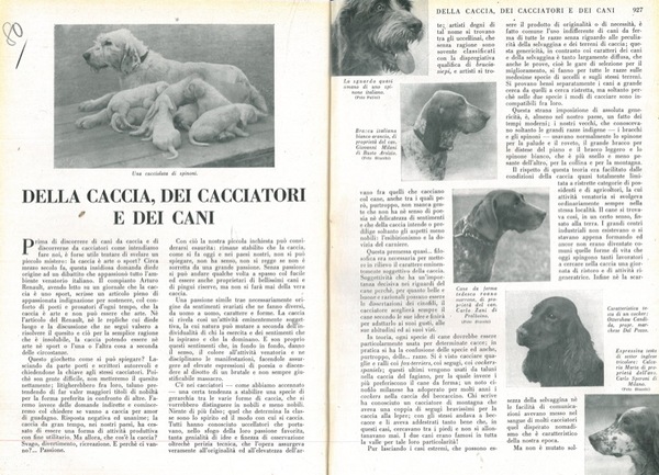 Della caccia dei cacciatori e dei cani.