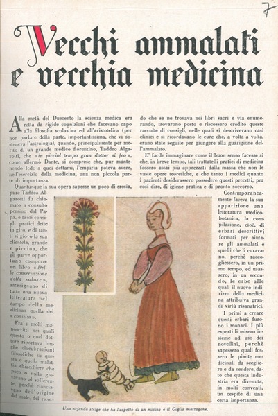 Vecchi ammalati e vecchia medicina.