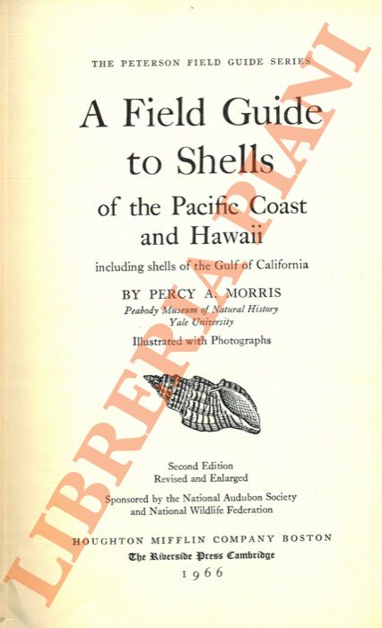 A field guide to shells of the Pacific Coast and …