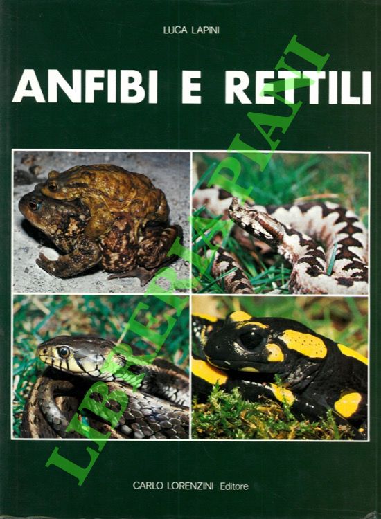 Anfibi e rettili.