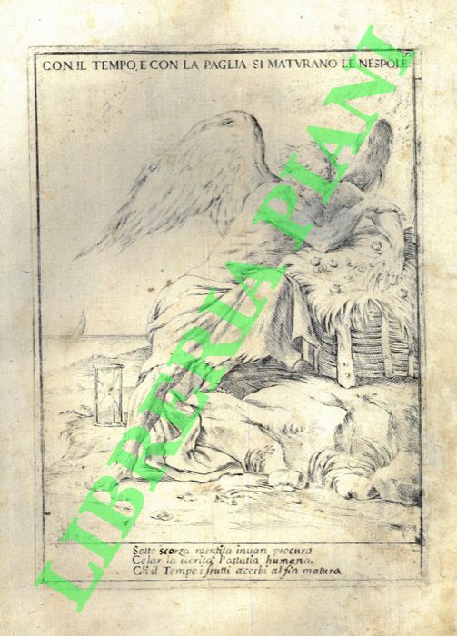 Con il tempo e con la paglia si maturano le …