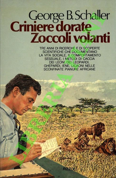 Criniere dorate zoccoli volanti.