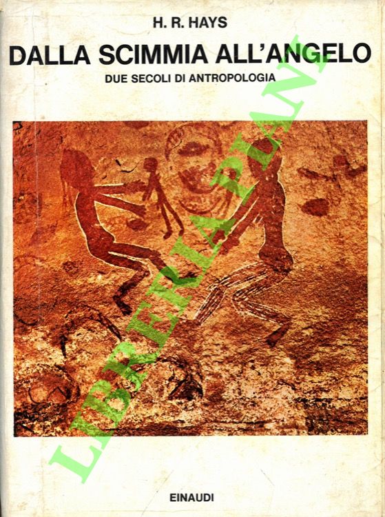 Dalla scimmia all'angelo. Due secoli di antropologia.