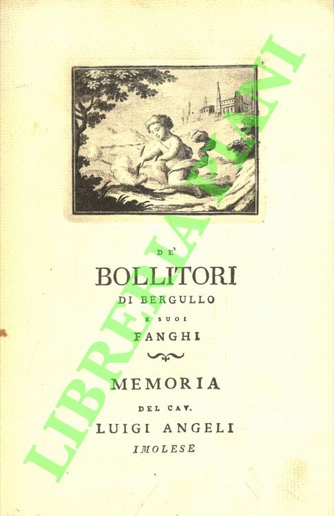 Dè bollitori di Bergullo e i suoi fanghi.