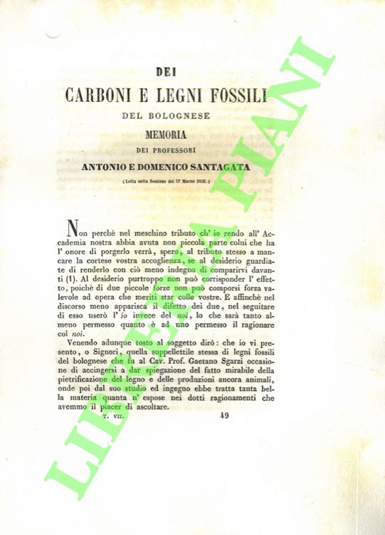 Dei carboni e legni fossili del bolognese.
