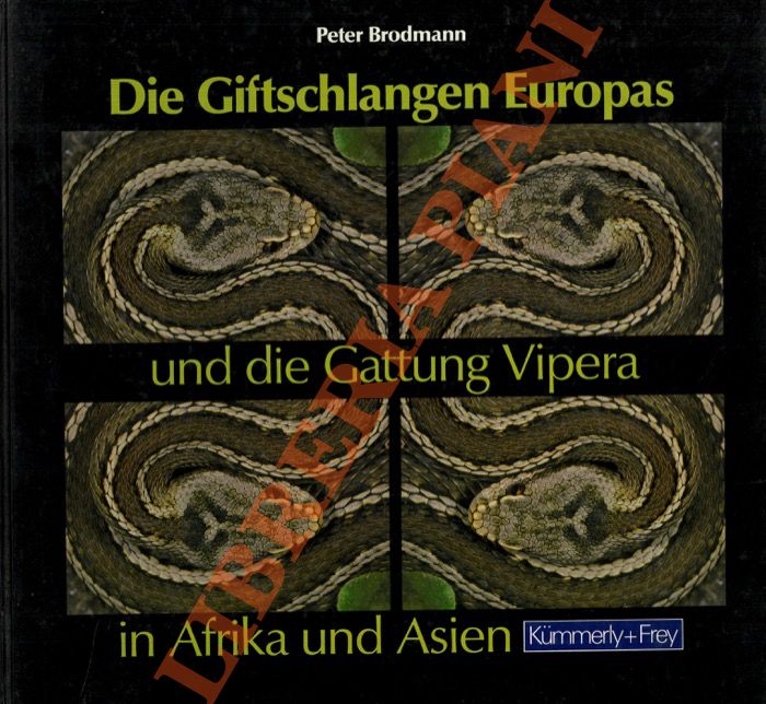 Die Giftschlangen Europas und die Gattung Vipera in Afrika und …