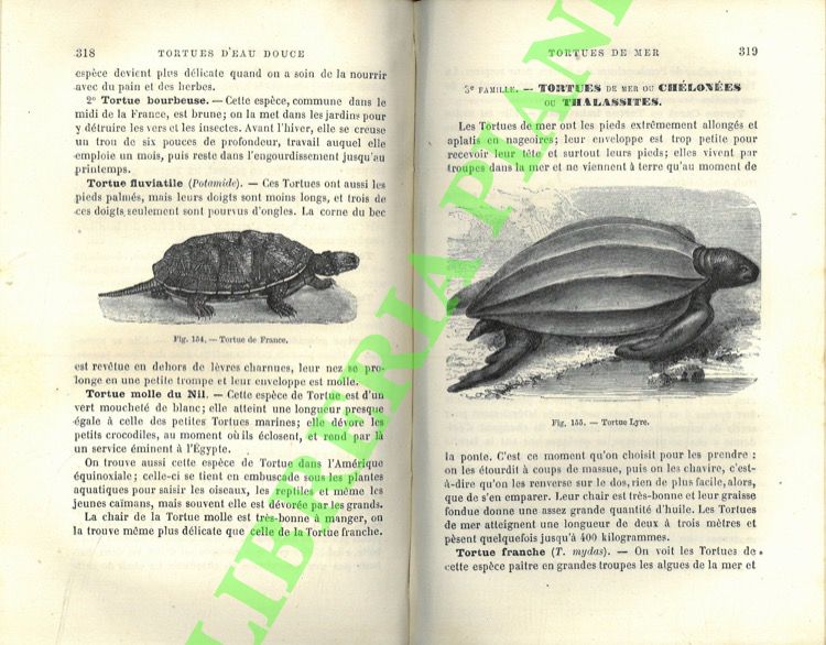 Elements d'histoire naturelle (l'homme et les animaux).