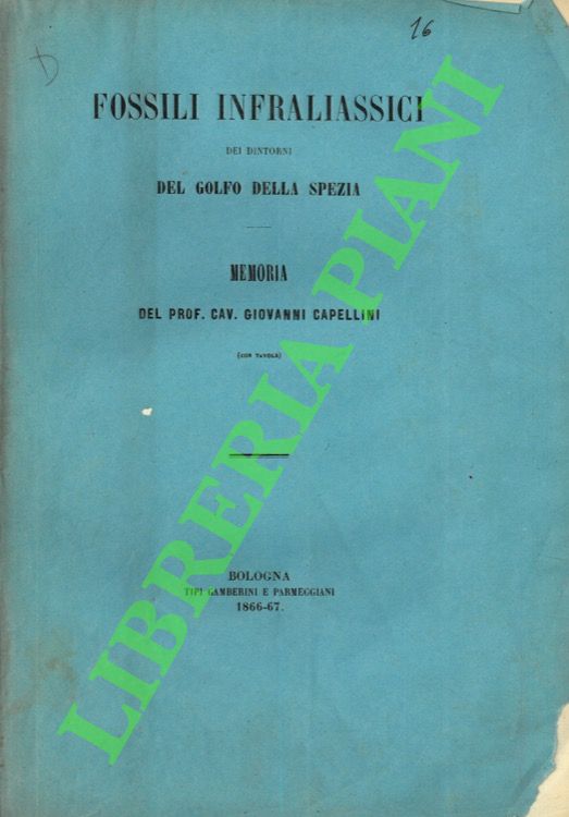 Fossili infraliassici dei dintorni del Golfo della Spezia.