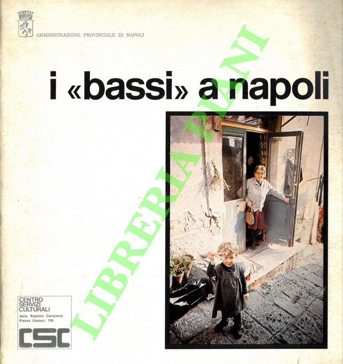 I “bassi” a Napoli. Sintesi integrativa dell'audiovisivo.