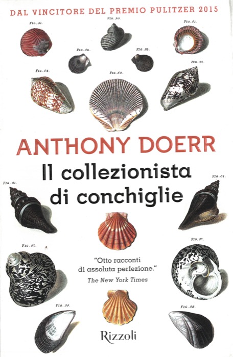 Il collezionista di conchiglie.