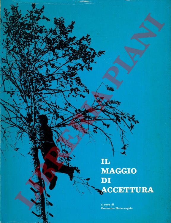 Il maggio di Accettura [come fatto folcloristico e come vicenda …