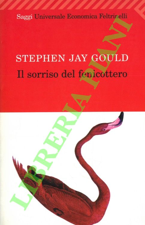 Il sorriso del fenicottero.