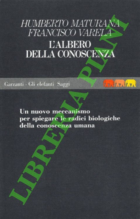 L'albero della conoscenza.