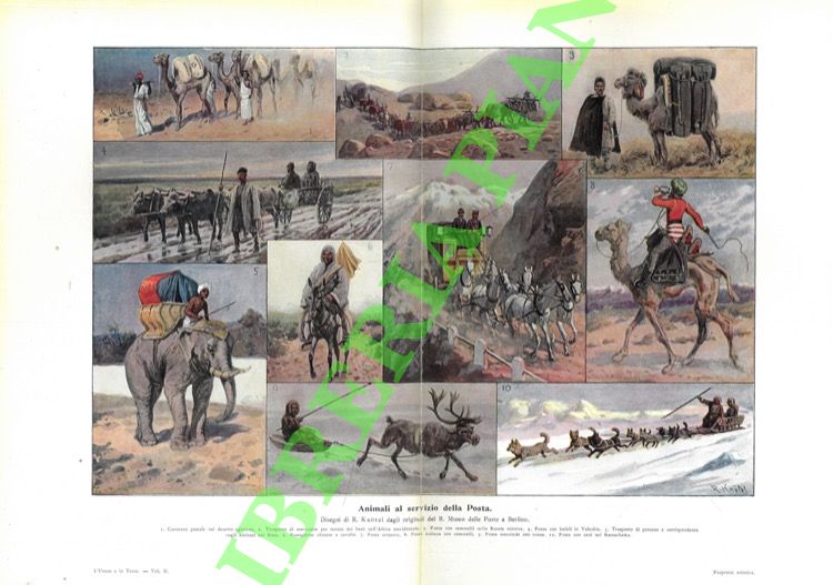 L'uomo e la terra. Origine, conquista e impiego dei tesori …