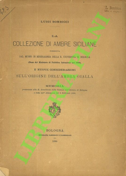 La collezione di ambre siciliane posseduta dal Museo Mineralogico della …