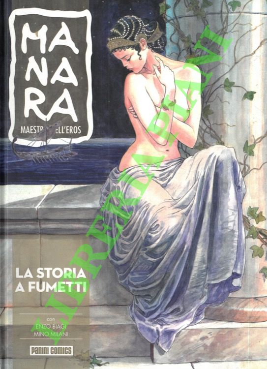 La storia a fumetti.