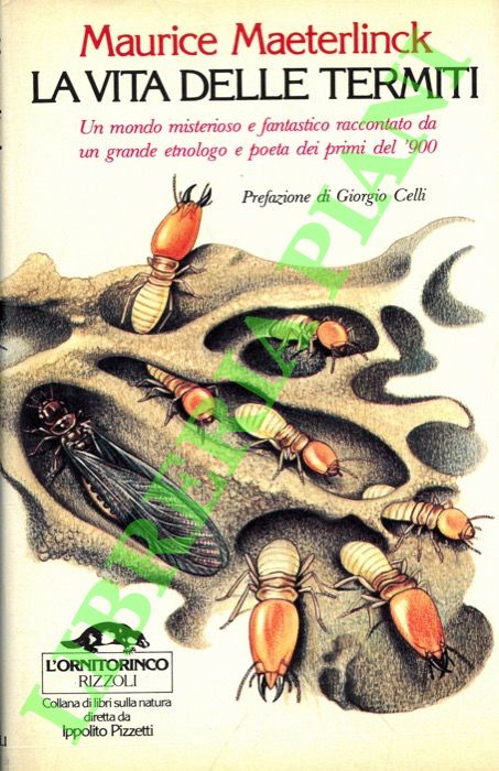 La vita delle termiti. Prefazione di Giorgio Celli.